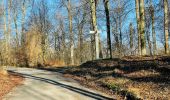 Tocht Stappen Compiègne - en forêt de Compiègne_47_autour des Beaux Monts - Photo 11