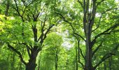 Tocht Stappen Durbuy - Bomal sur Ourthe 170625 - Photo 10