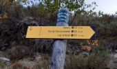 Trail Walking Colmars - col de l'encombrette pas de L'Echellette - Photo 5