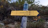 Tocht Stappen Colmars - col de l'encombrette pas de L'Echellette - Photo 5