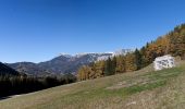 Tocht Te voet Gemeinde Breitenstein - Orthof - Rotberg - Meierei - Semmering - Breitenstein - Photo 9