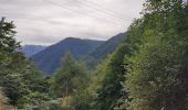 Tour Wandern Unknown - Le pic de Savis - Photo 11
