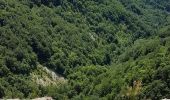 Trail Walking Plateau d'Hauteville - Marais des Lesines-Charabotte - Photo 1