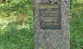 Excursión Senderismo Sainte-Croix-aux-Mines - Le Hury par le Petit-Haut - Photo 9