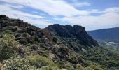 Trail Walking Le Muy - Ste Candie - Photo 2