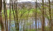 Trail Walking Thuin - Balade à l'abbaye d'Aulne - Photo 7