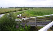 Percorso A piedi Steenwijkerland - WNW WaterReijk - Wanneperveen - groene route - Photo 2