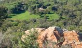 Randonnée Marche Saint-Raphaël - Menhir de Peyronne - Menhir des Veyssieres  par les Ferrières - Photo 4