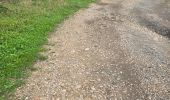 Trail Walking Unknown - Lavardin - Chemin de la roue des Carriers - Photo 20