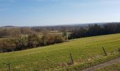 Tour Elektrofahrrad Saint-Clément - sortie vtt du 13022022 Baccarat  - Photo 4