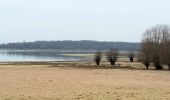 Tour Wandern Géraudot - GÉRAUDOT, lac de la forêt d'Orient - Photo 6