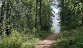 Trail Walking Uvernet-Fours - Pra-Loup - Le clos du Serre - Photo 2