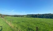 Trail Walking Signy-le-Petit - Étang de la Motte - Photo 2