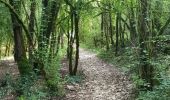 Trail Walking Saint-Antonin-Noble-Val - Saint Antonin Noble Val pat le cirque de Nibousou - Photo 20