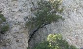 Tocht Stappen Belgentier - Belgentier arche de la Garoute les ragages - Photo 2