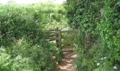 Tocht Te voet Teignbridge - Kenton Starcross Circular - Photo 7