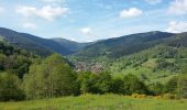 Trail Walking Sondernach - mp sondernach 2019 - Photo 8