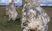 Tour Wandern Camaret-sur-Mer - camaret 3 penhir - Photo 4