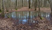 Percorso Marcia Bucey-en-Othe - Bucey en Othe - Photo 5