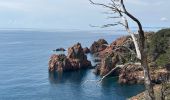 Trail Walking Saint-Raphaël - Le Dramont - Plage du débarquement  - Photo 2