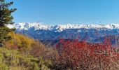 Trail Walking Digne-les-Bains - Sommet-de-la-bigue-en-boucle - Photo 4