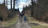 Tour Wandern Neufchâteau - Balade canine 2025 - Photo 2