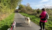 Trail Walking Bastogne - Race for the cure Bastogne 2022  - Photo 5