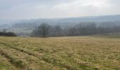 Trail Walking Stavelot - Stavelot 13 Km - Photo 14