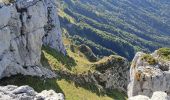 Excursión Senderismo Aillon-le-Jeune - MARGERIAZ-02-08-24 - Photo 3