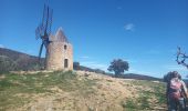 Tour Wandern Grimaud - Grimaud - le pont des fées - Mont Roux 11.3.23 - Photo 10