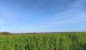 Excursión Senderismo Heerlen - Putberg tot Slakkenpad en terug  - Photo 2