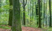 Tour Zu Fuß Nottuln - Longinusturm Rundweg A2 - Photo 10