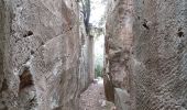 Randonnée Marche Mons - Mons  Cascade de la Siagnole  La Roche Taillée  Mégalithe de Riens - Photo 8