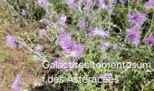 Trail Walking La Ciotat - Trail Walking La Ciotat -