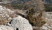 Excursión Senderismo Saint-Vallier-de-Thiey - Colle du Maçon,Le Doublier,  Castellaras de la Malle du Col du Ferrier - Photo 4