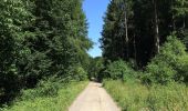 Trail On foot Ahnatal - Ahnatal, W8 Schlossweg - Photo 2