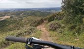 Trail Mountain bike Vitrolles - dans le jardin  - Photo 2