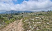 Trail Walking Coursegoules - coursegoules st barnabé  - Photo 11