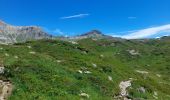 Tour Wandern Passy - SIXT PASSY RESERVE: PLAINE JOUX- LAC DE PORMENAZ - REFUGE DE MOEDE ANTERNE - retour par la piste - Photo 15