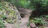 Trail Walking Lepuix - Giromagny - sentier des mines  - Photo 5