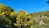 Tocht Stappen Sainte-Maxime - Sainte maxime - le couloubrier - Photo 14