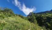 Trail Walking Uvernet-Fours - rando col de la cloche 8/07/2021 - Photo 12