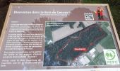 Tour Wandern Gesves - Bois didactique de Gesves - Photo 1