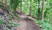 Tour Wandern Charleroi - La Boucle Noire de Charleroi - Photo 2