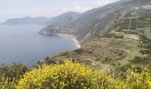 Percorso Marcia Riomaggiore - Manarola-Riomaggiore-3kmD250m - Photo 2