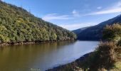 Tour Wandern Vianden - vianden  .  bivels  .  vianden - Photo 14