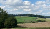 Excursión Senderismo Lyons-la-Forêt - La Bosse, le Val Bagnard, les Trous Museaux, Lorleau, Lyons  - Photo 3