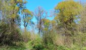 Trail Walking Liège - angleur gare . sart tilman via bois St Laurent.retour via bois St jean - Photo 8