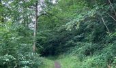 Tour Wandern Doische - RB-NA-11-R1 / Soulme / 2021-07-04 / 20 km - Photo 18