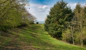 Percorso A piedi Hirschberg an der Bergstraße - Rundwanderweg Kunz'sche Mühle 4 - Photo 10